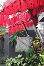 Фото Jabunami Villa