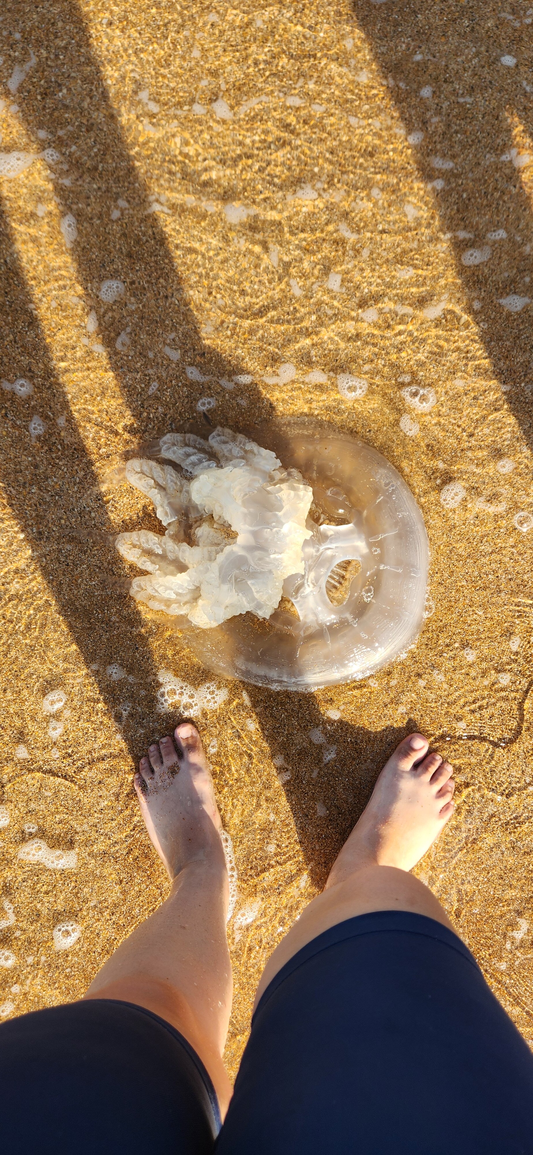 Фото У Петровича