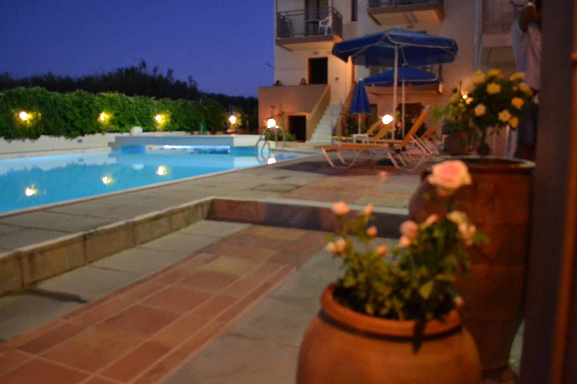Фото Alexandros M