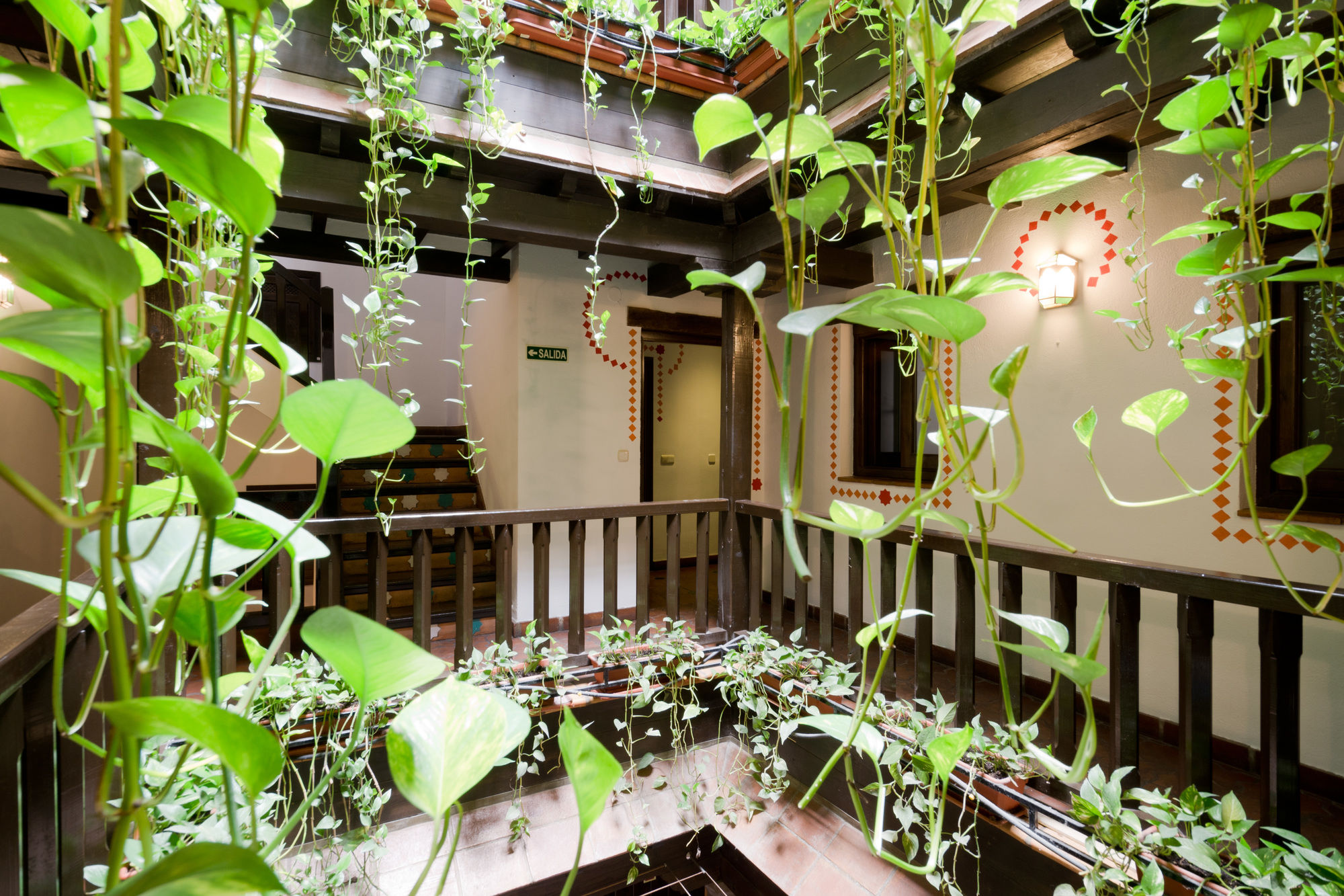 Фото Oasis Backpackers Hostel Granada