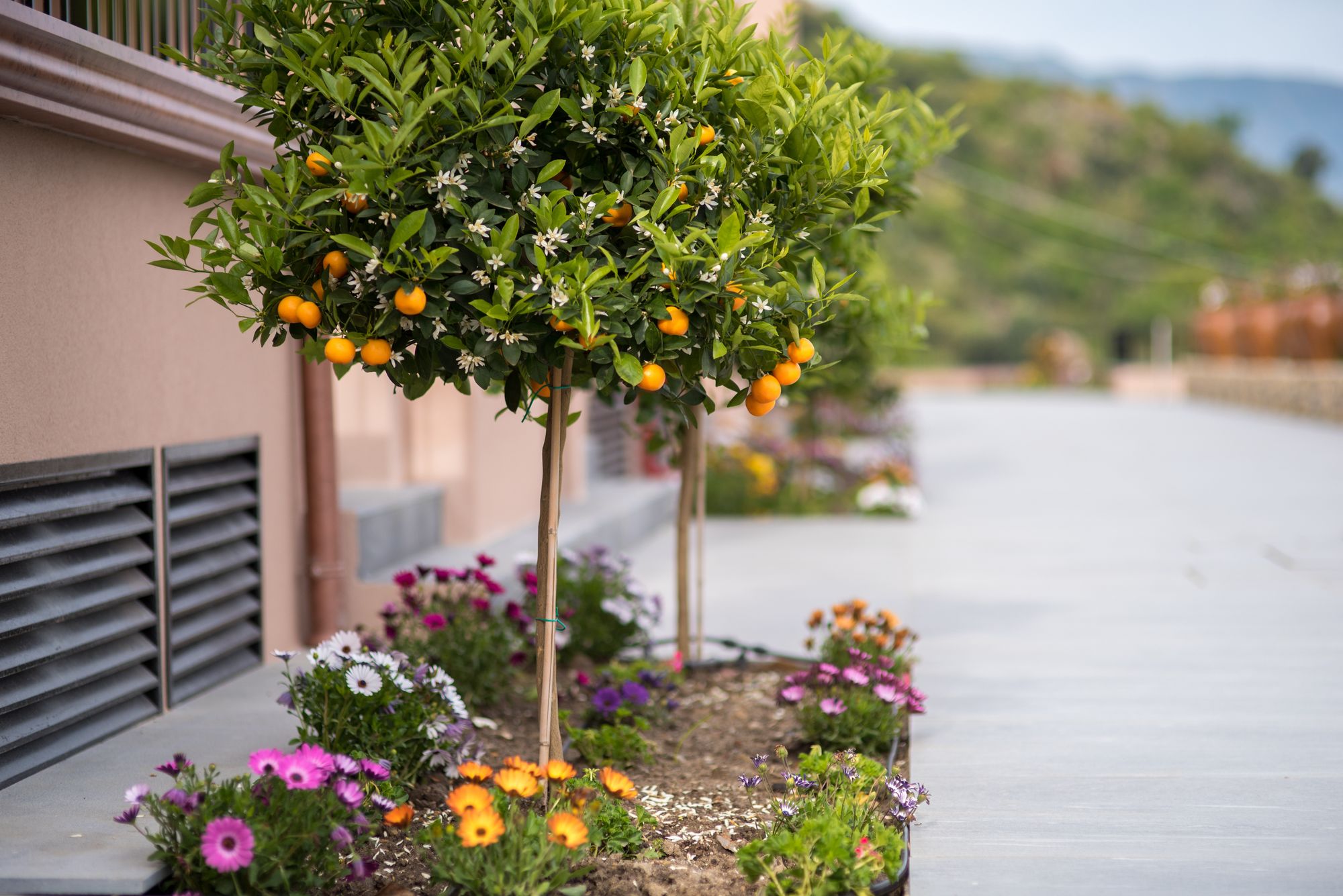 Фото Best Western Plus Hotel Terre di Eolo