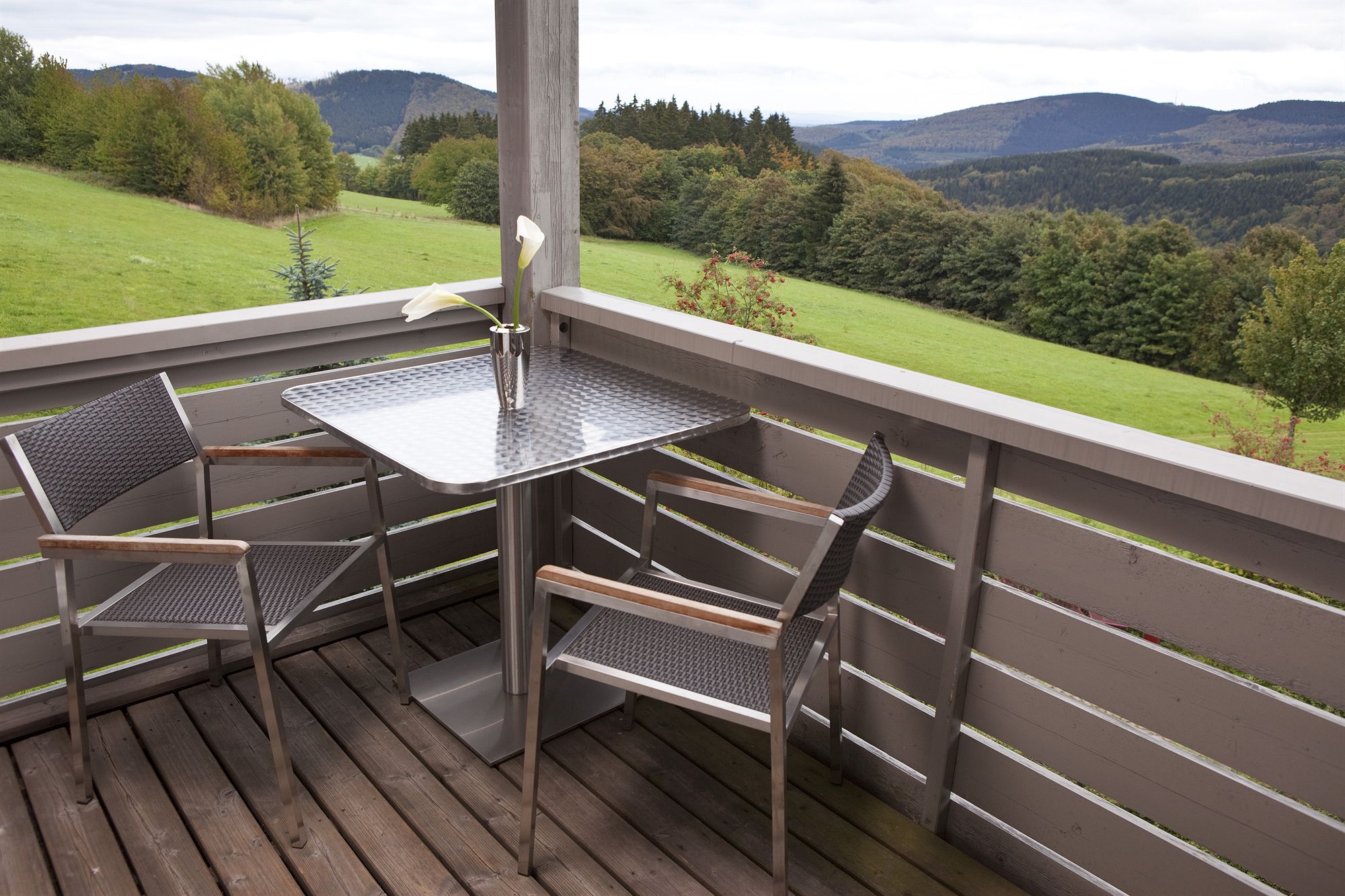 Фото Hapimag Resort Winterberg