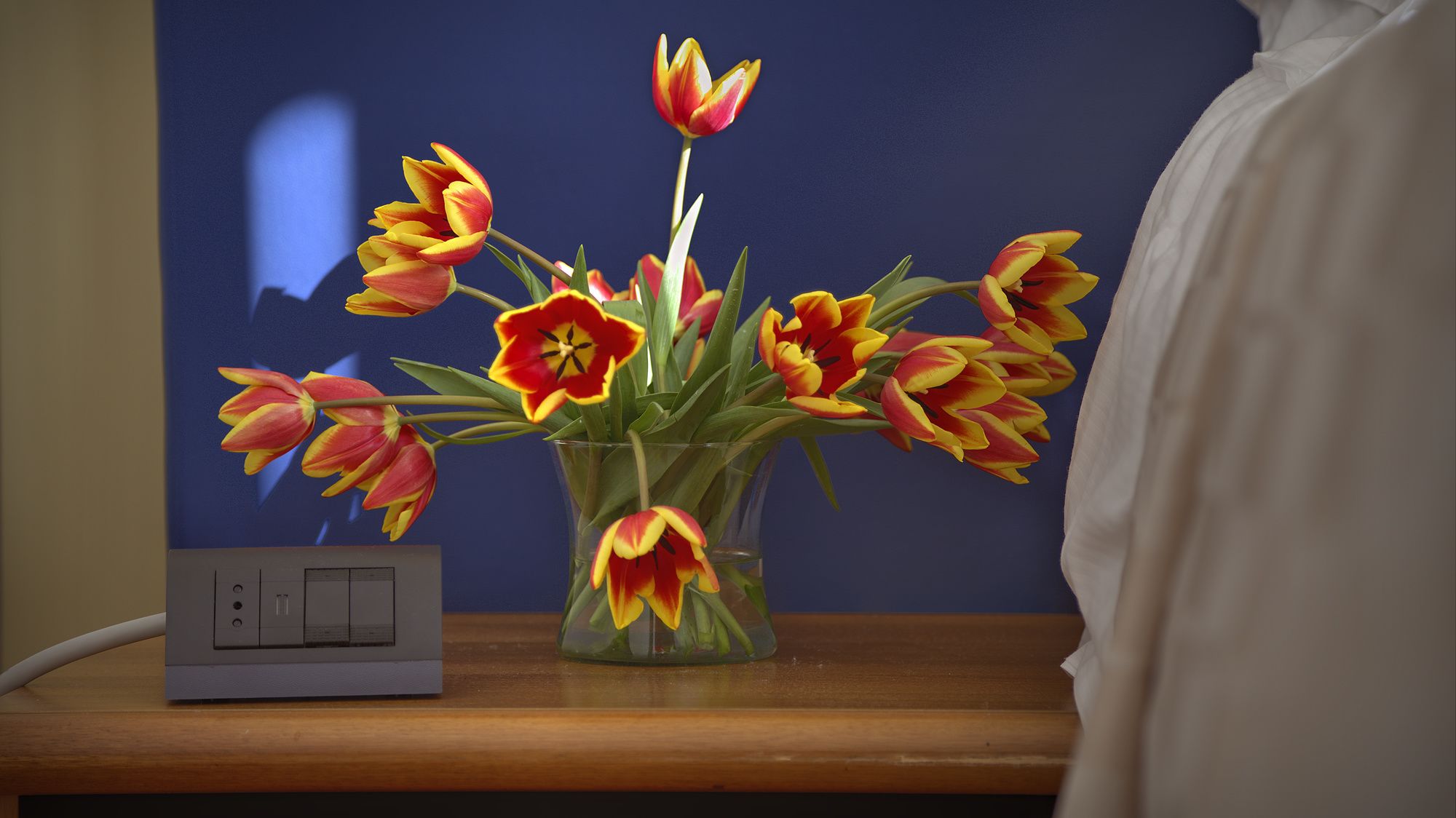 Фото Hotel Mistral 2