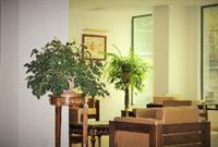 Фото Тбилотель