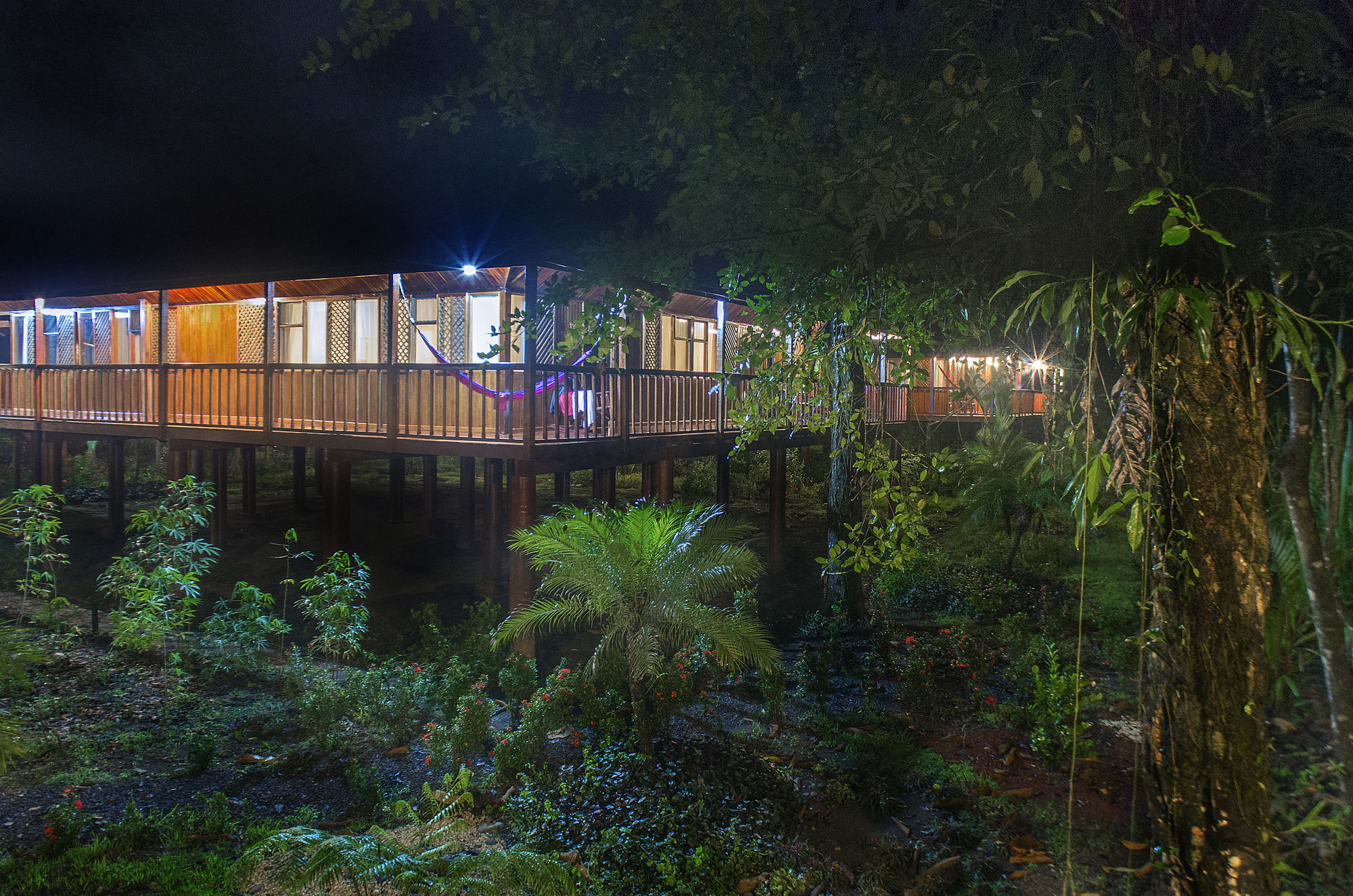 Фото Selva Verde Lodge