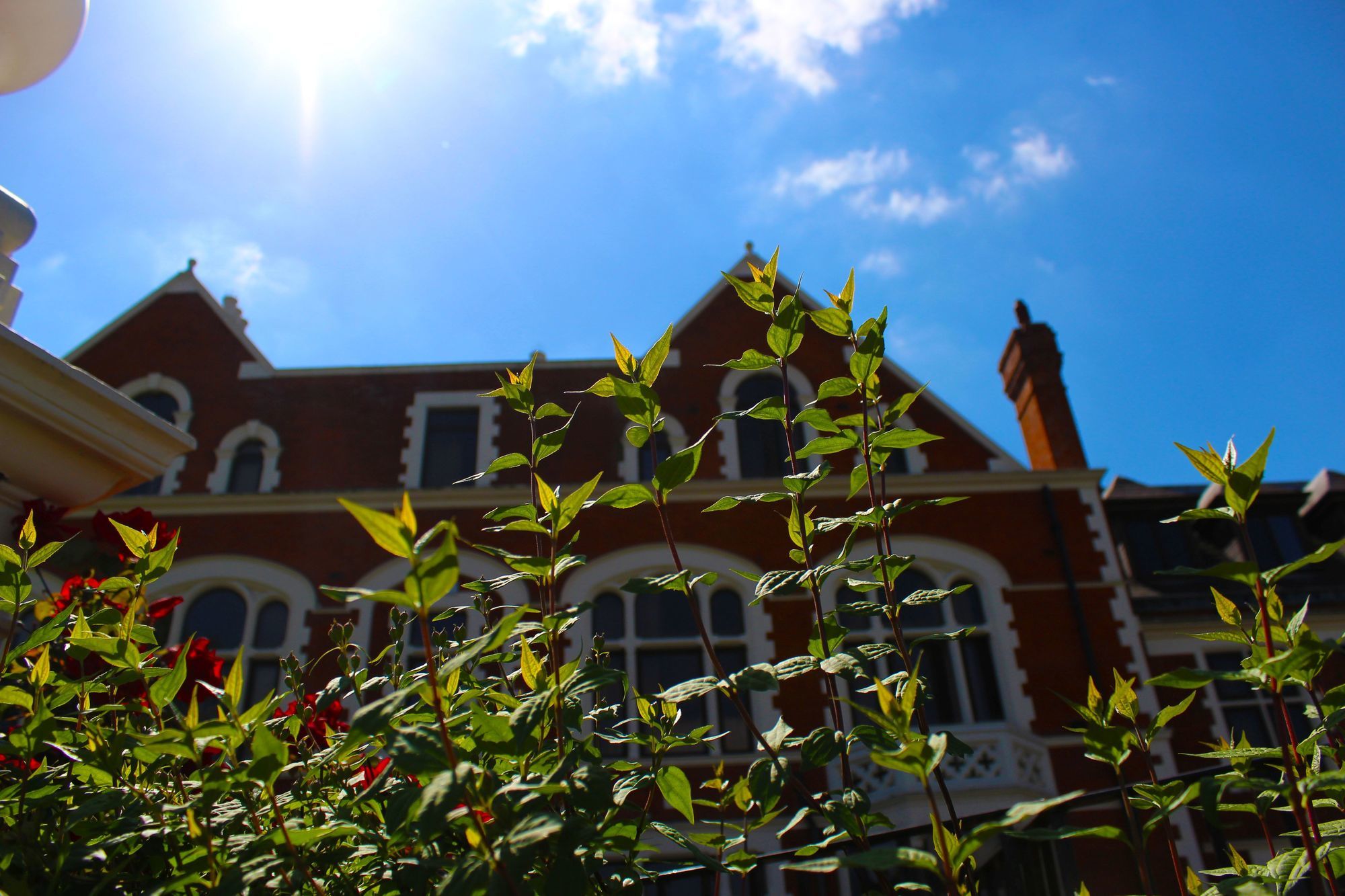 Фото Best Western London Peckham Hotel