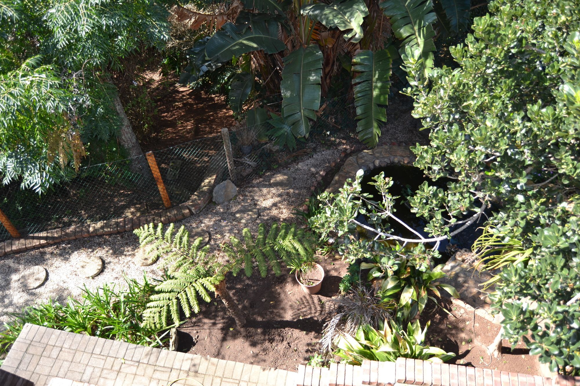 Фото Dolphin View Guesthouse