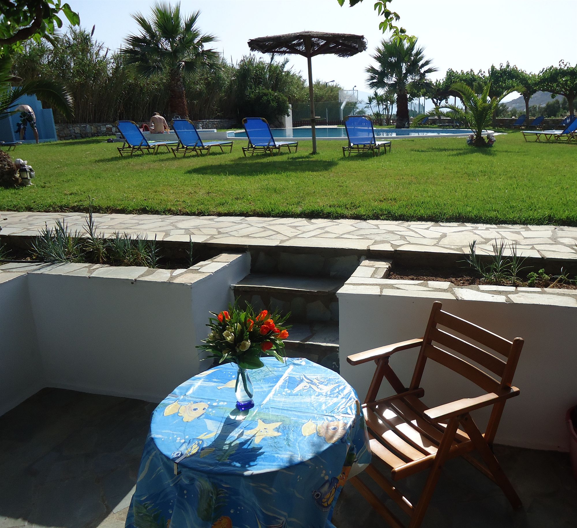 Фото Colosseo Star