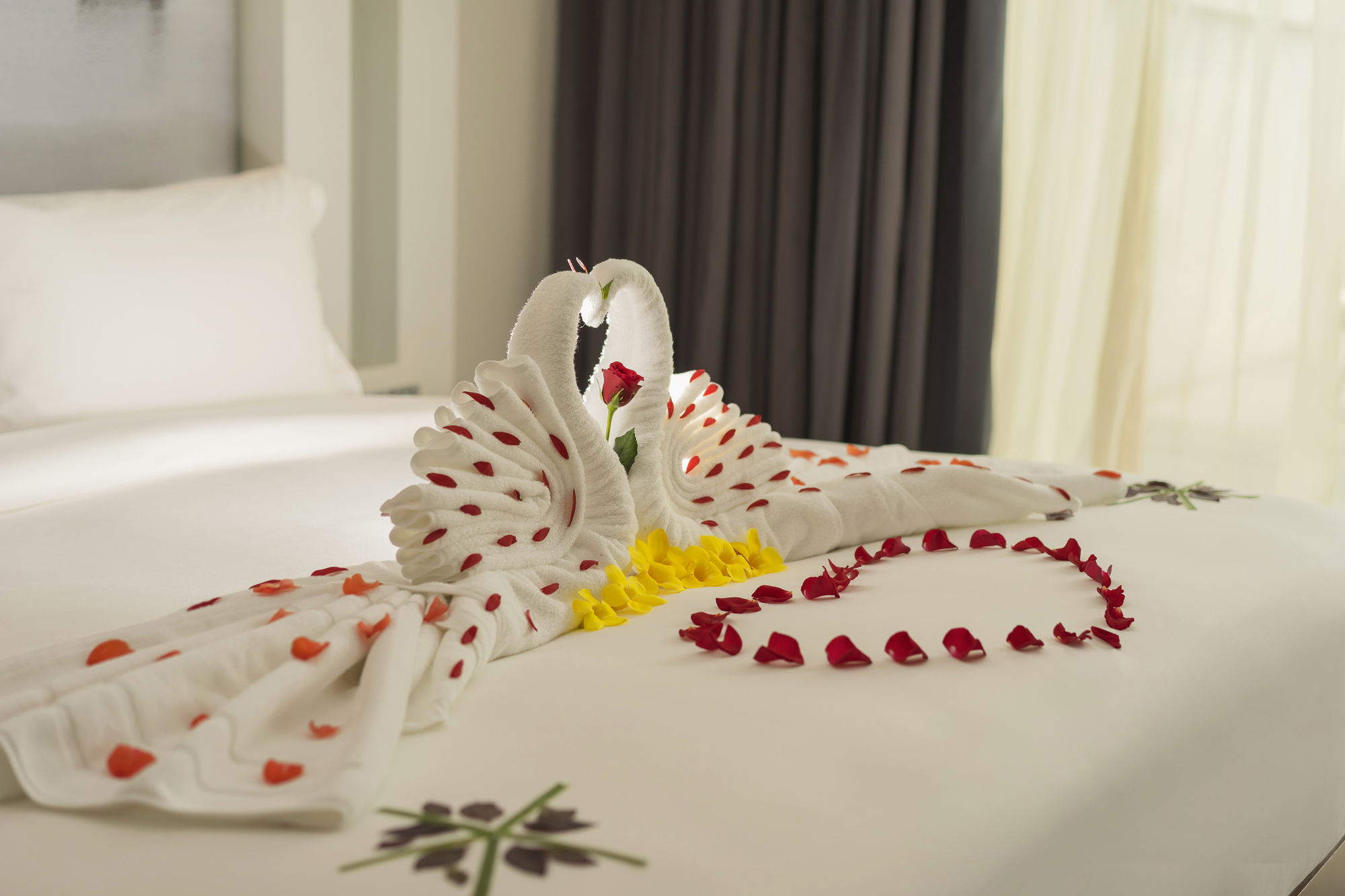 Фото Angsana Lang Co