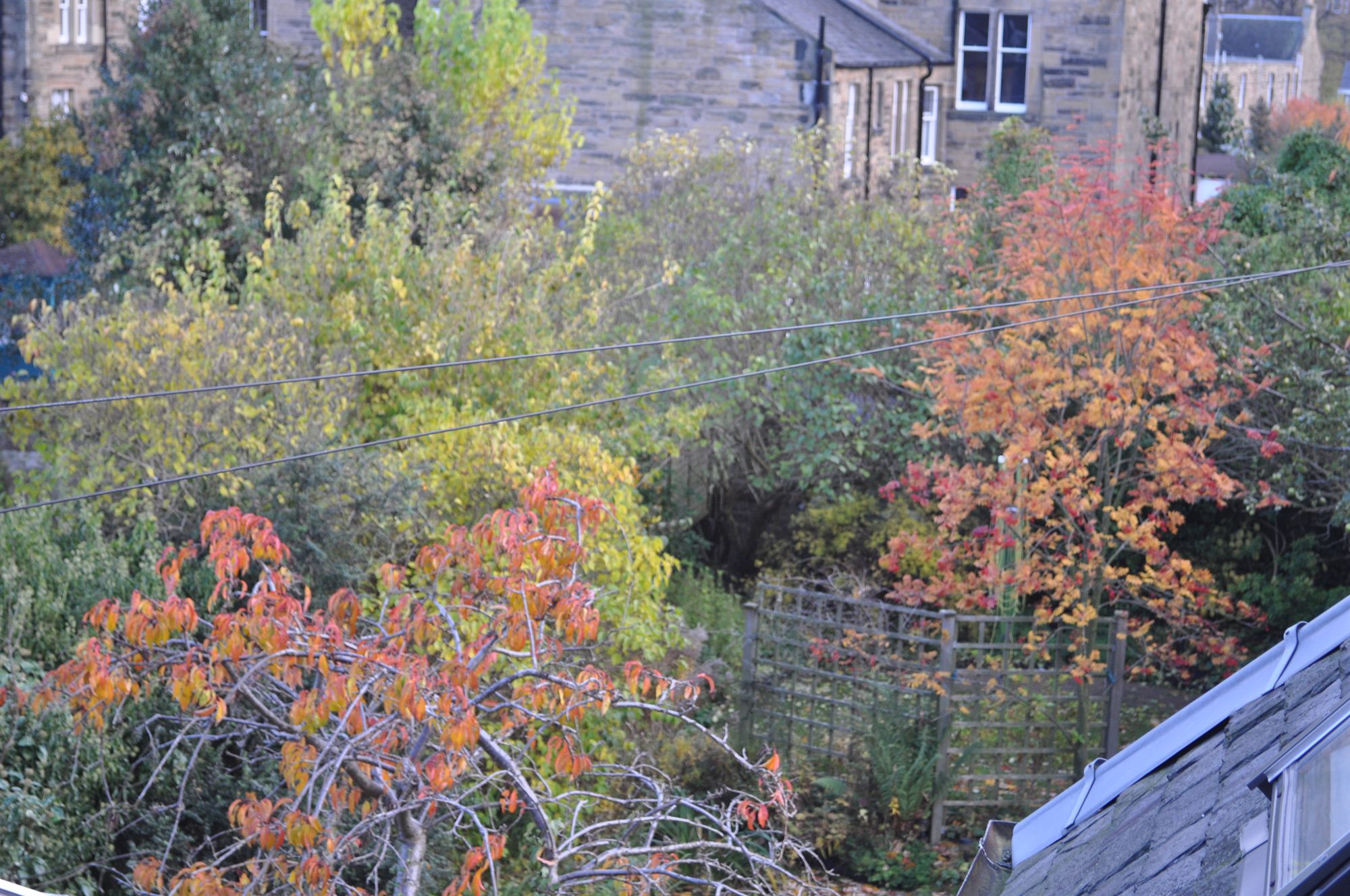 Фото Ashdene House