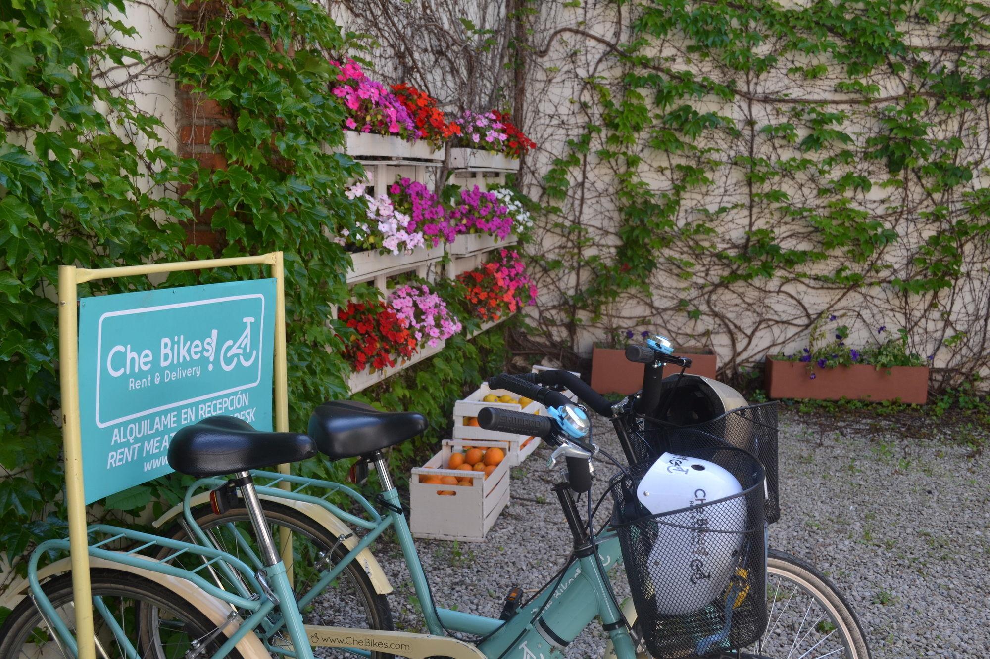 Фото Nina Suites