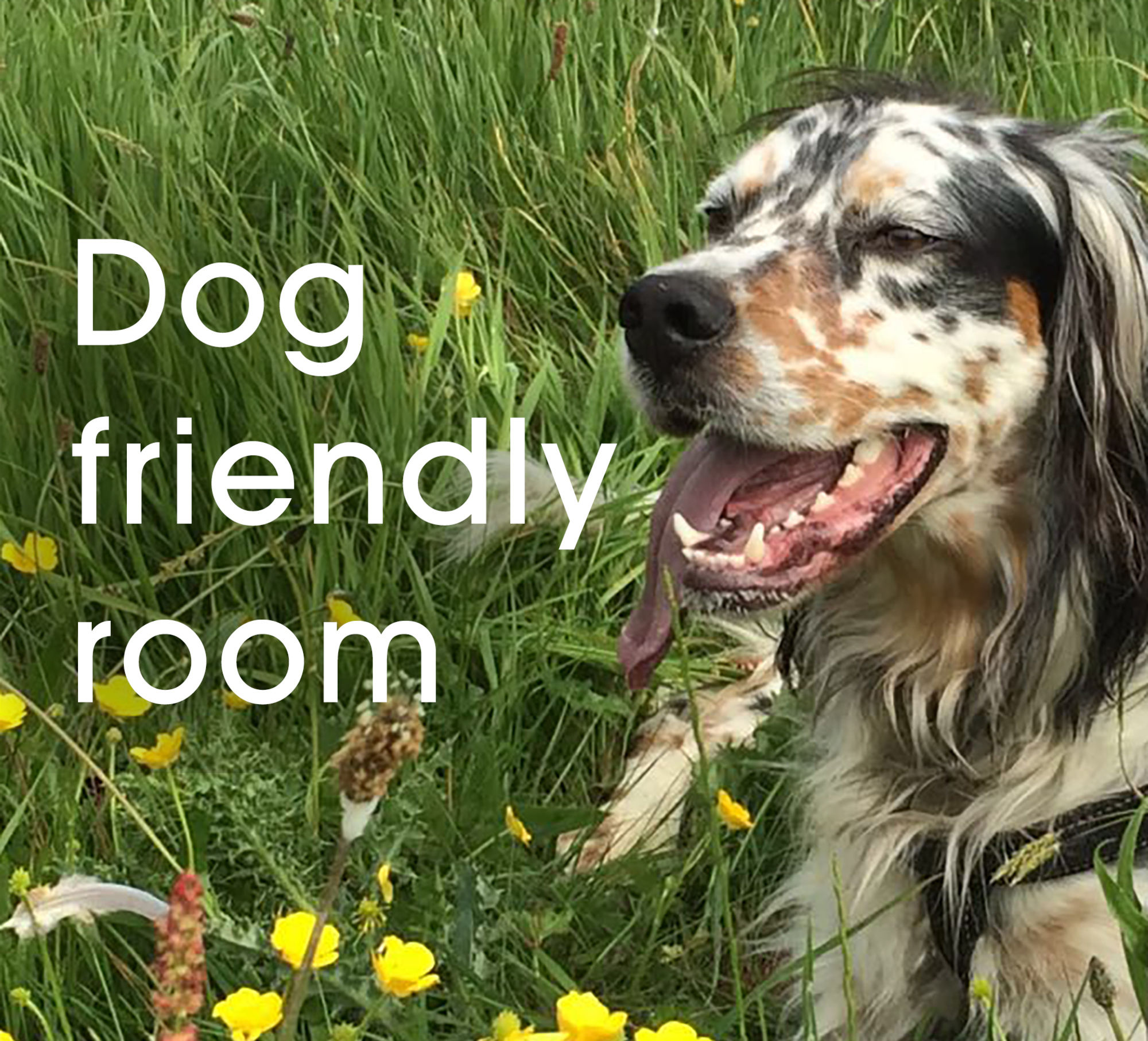 Фото Trimstone Manor Country House Hotel