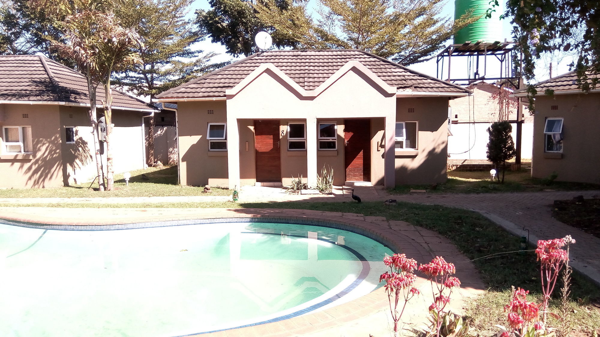 Фото Tasha Lodge