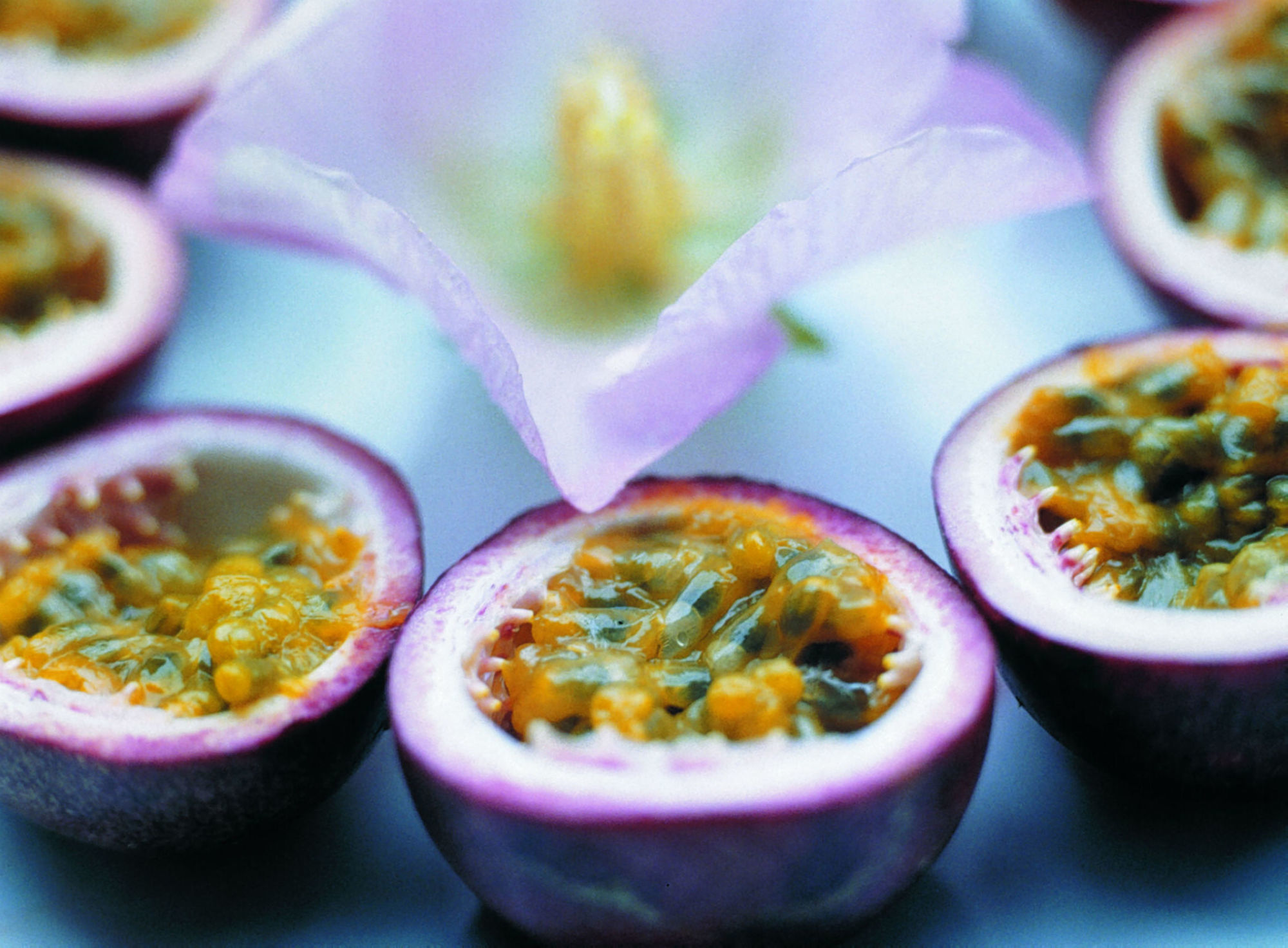 Фото Cheng Pao Hotel