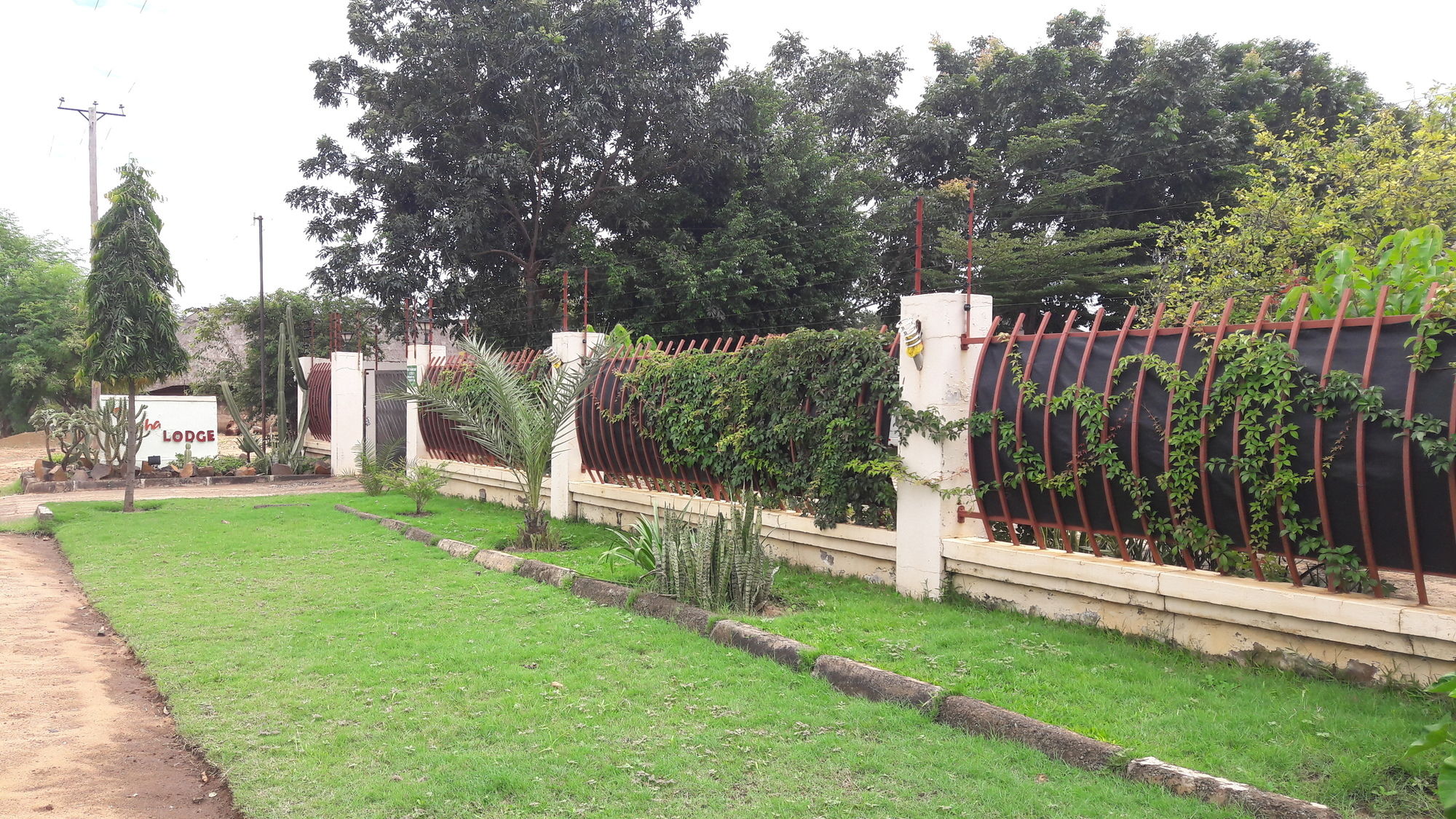 Фото Tasha Lodge