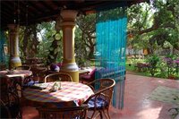 Фото Granpa's Inn Hotel Bougainvillea