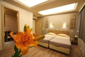 Гостиница Ariston