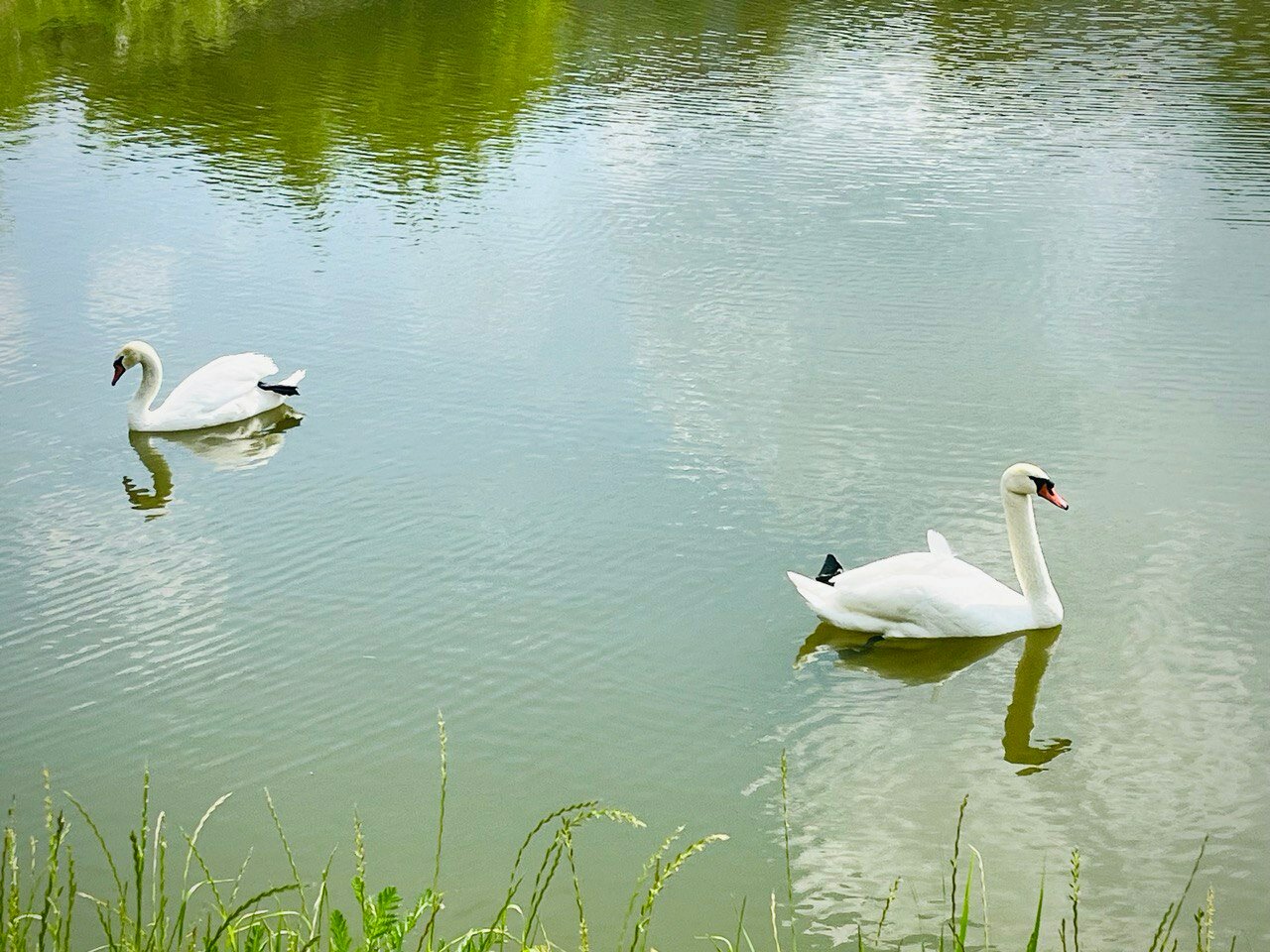 Фото Дом Мечты