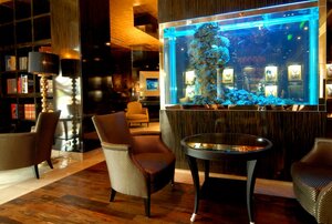 Radisson Blu, Ростов-на-Дону