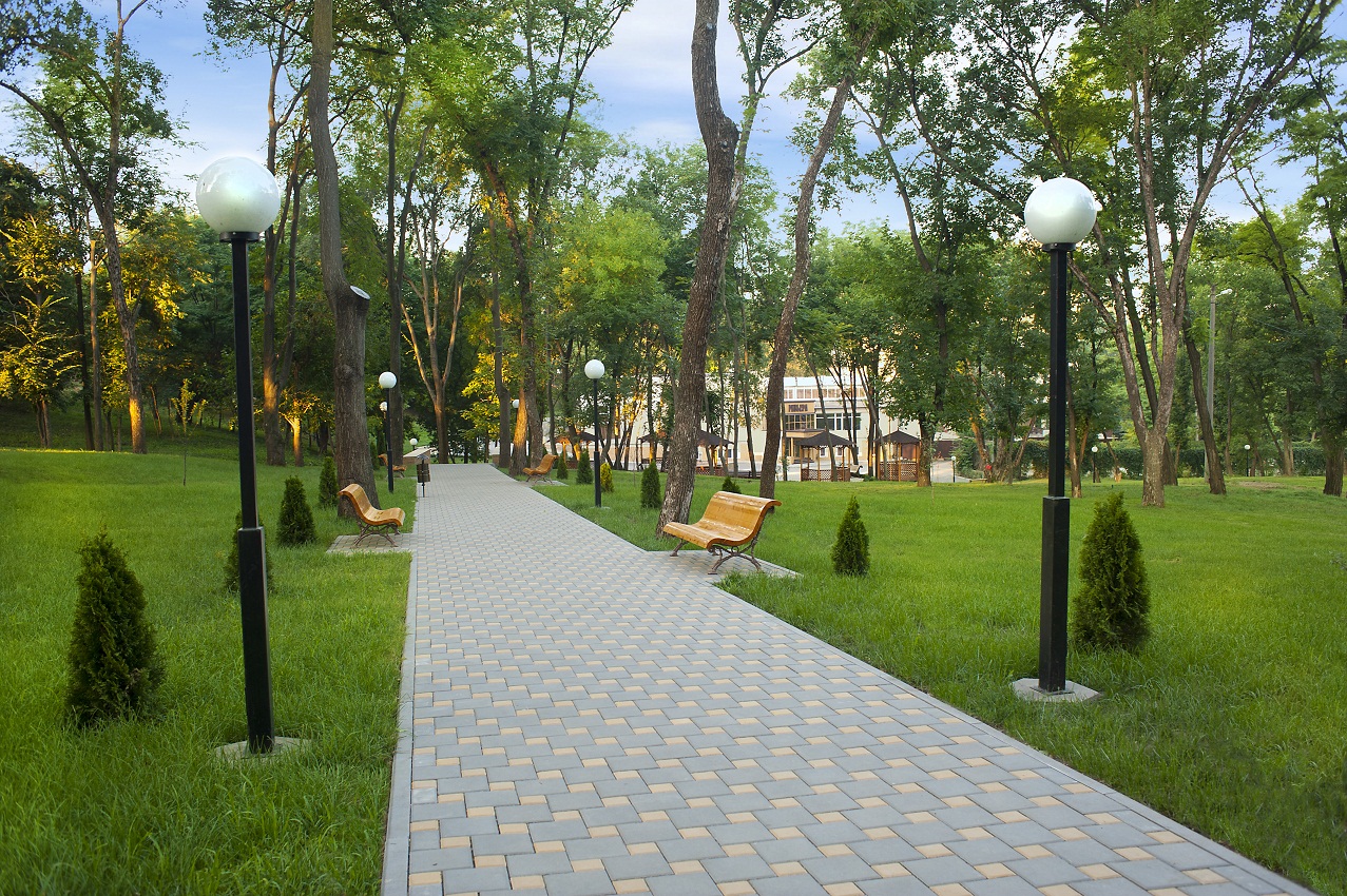 Фото Надежда