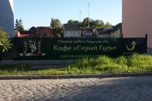 Серый гусь