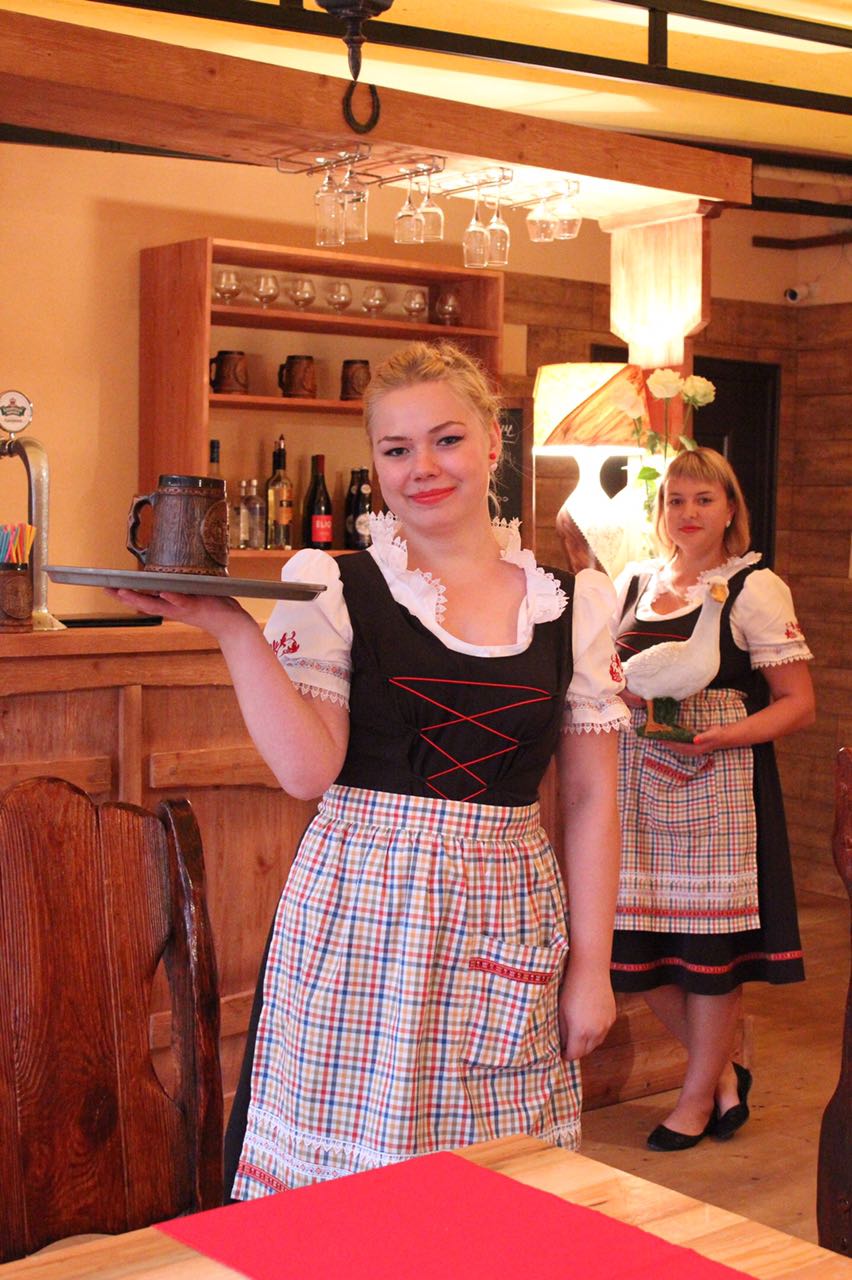 Фото Серый гусь