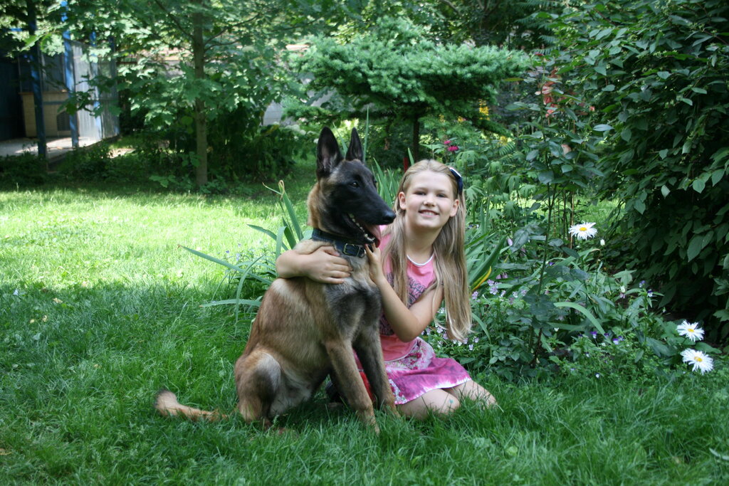 Animal nursery Nursery Ot Solnika, Shcherbinka, photo