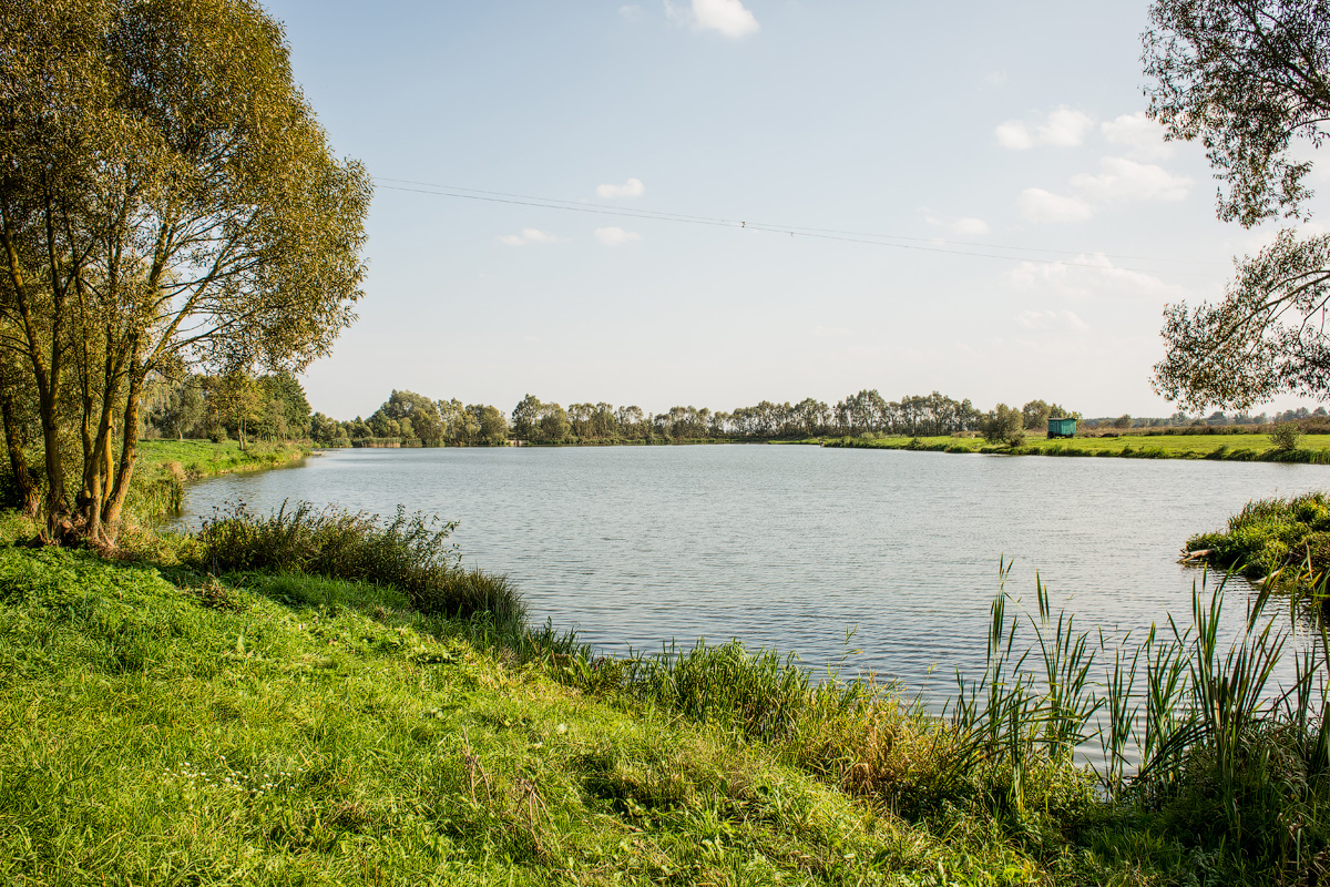 Фото Беловежская гостевая