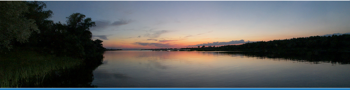 Фото Камышовый рай