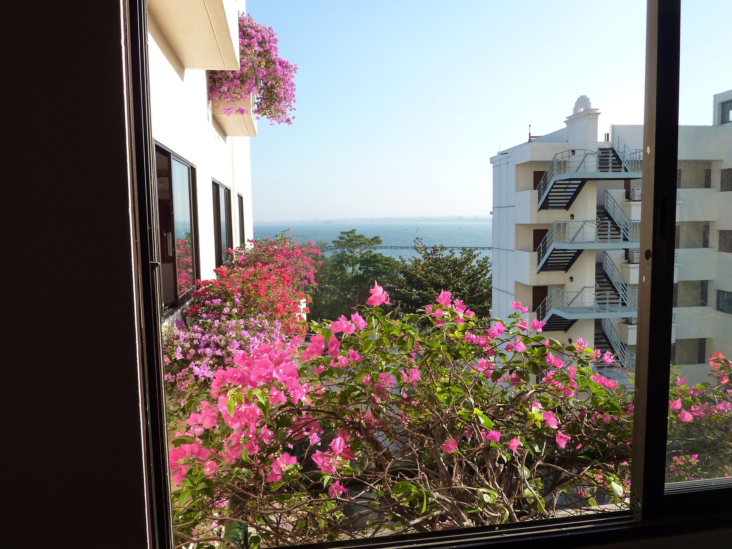 Фото Garden Sea View Resort