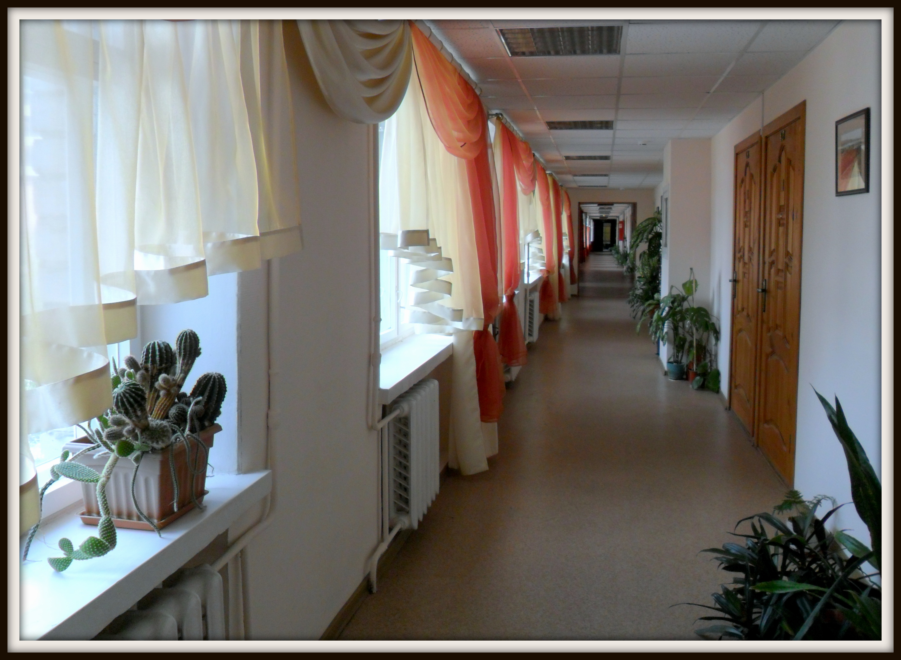 Фото Царицынская