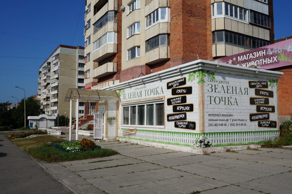 Магазин подарков и сувениров Зелёная точка, Озёрск, фото