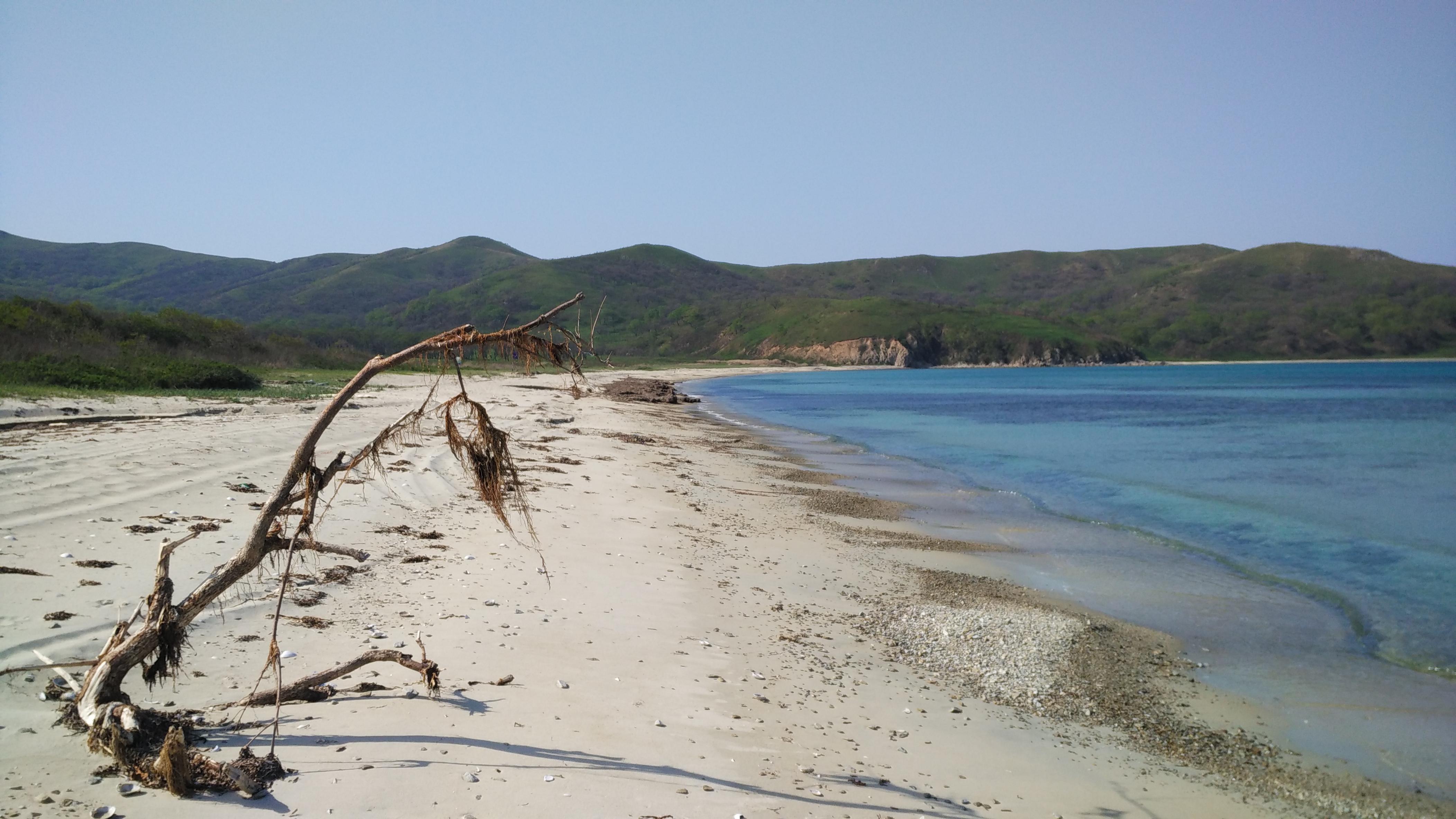 Фото Береговая