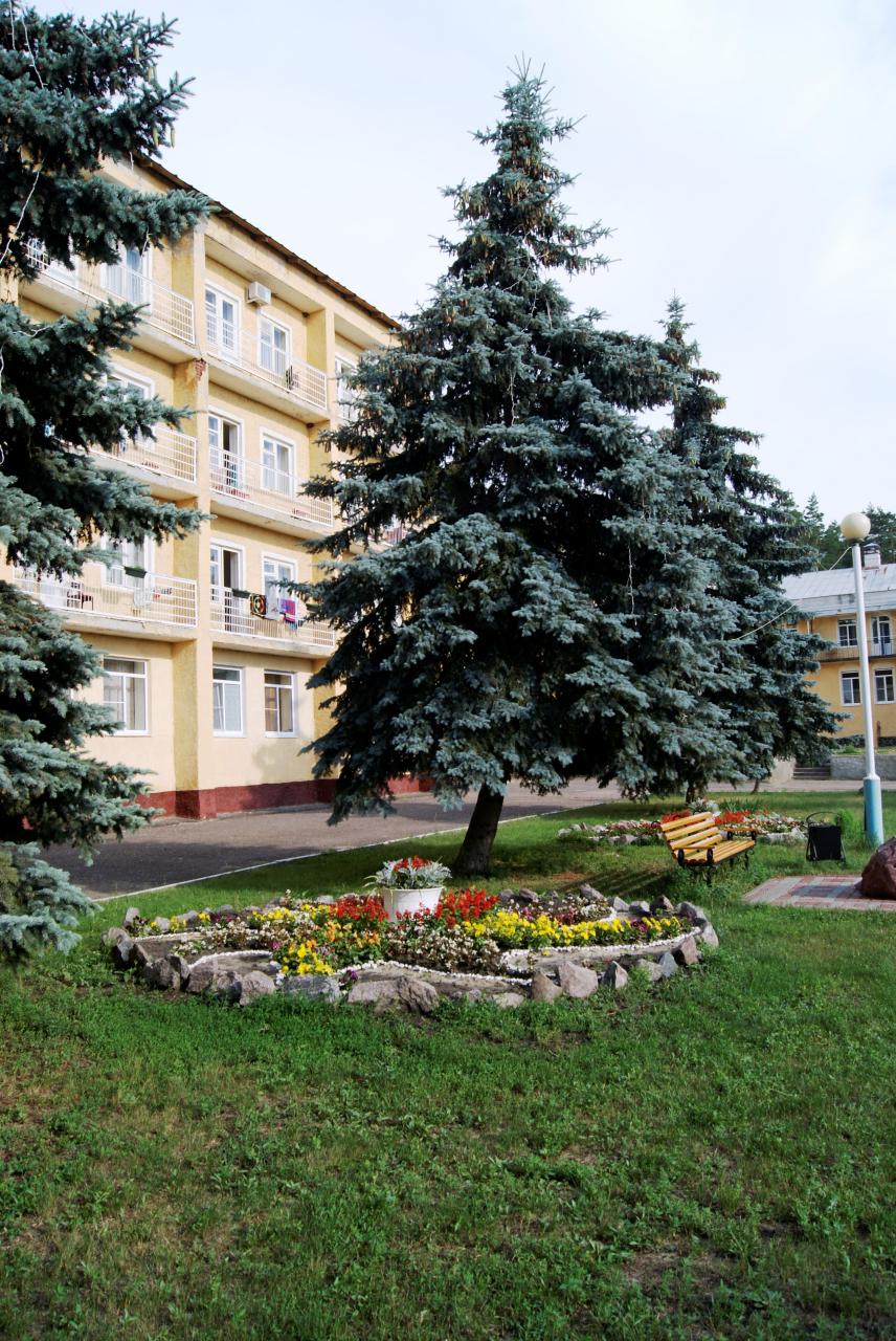 Фото Лесная жемчужина