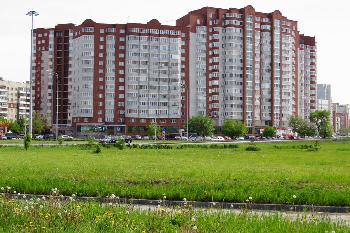 Фото Аврора