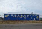 Автоангел (ulitsa Mira, 2), car service, auto repair