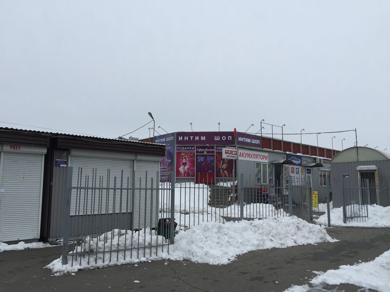 Толық ханымдар бейнеленген жаңа порно