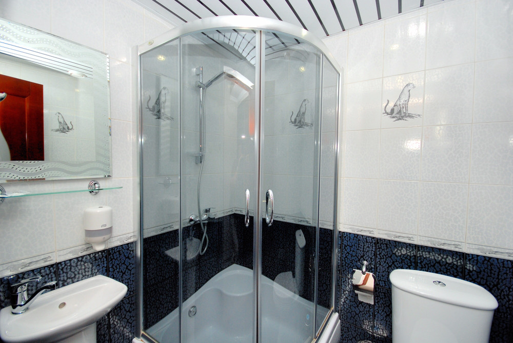 Фото Каштан