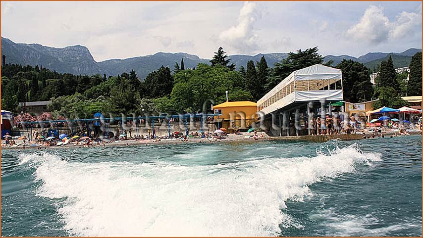 Фото Наутилус