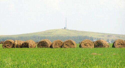 Сельскохозяйственное предприятие АКХ Ануйское, Алтайский край, фото