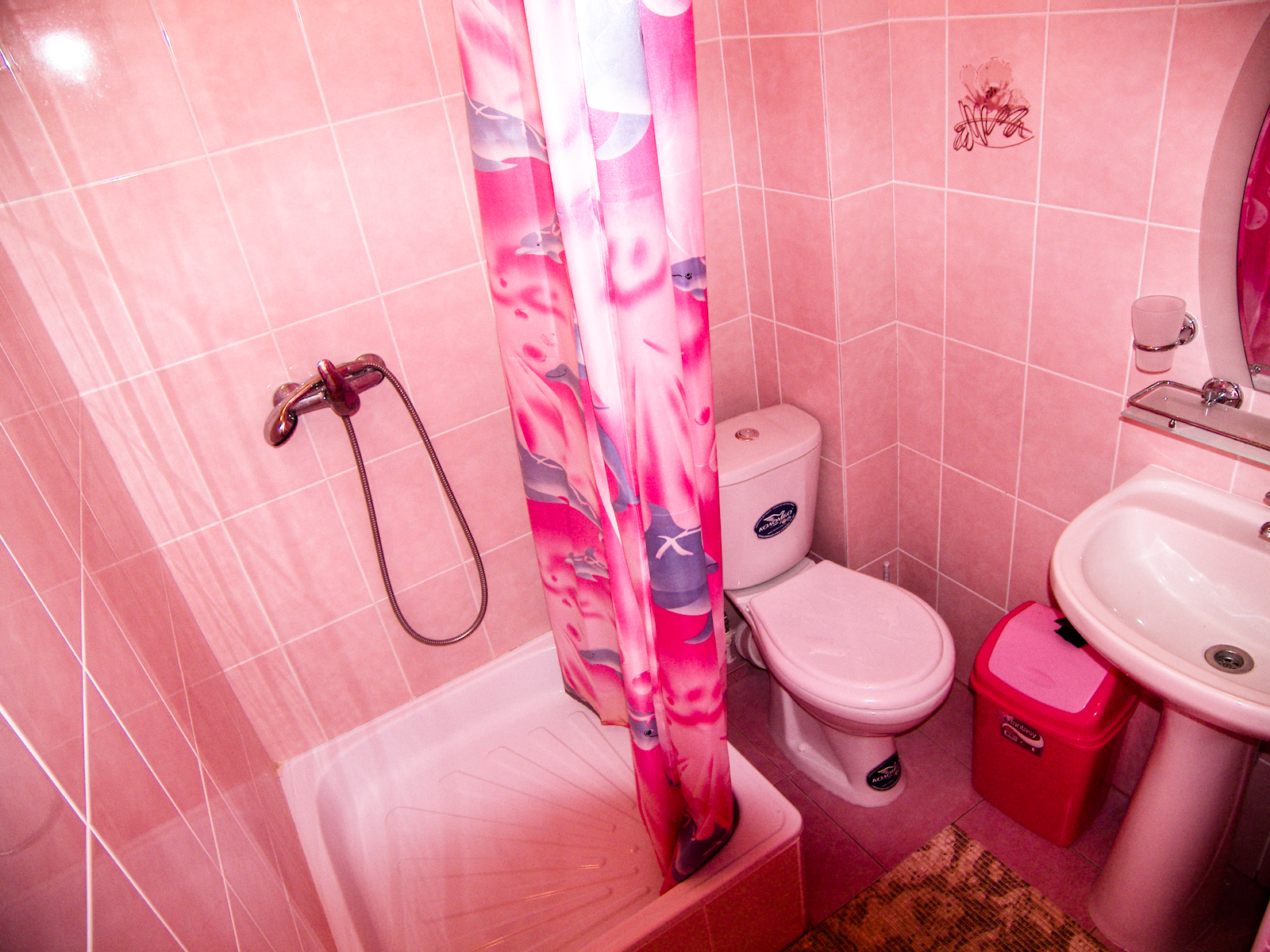 Фото Синяя Крыша