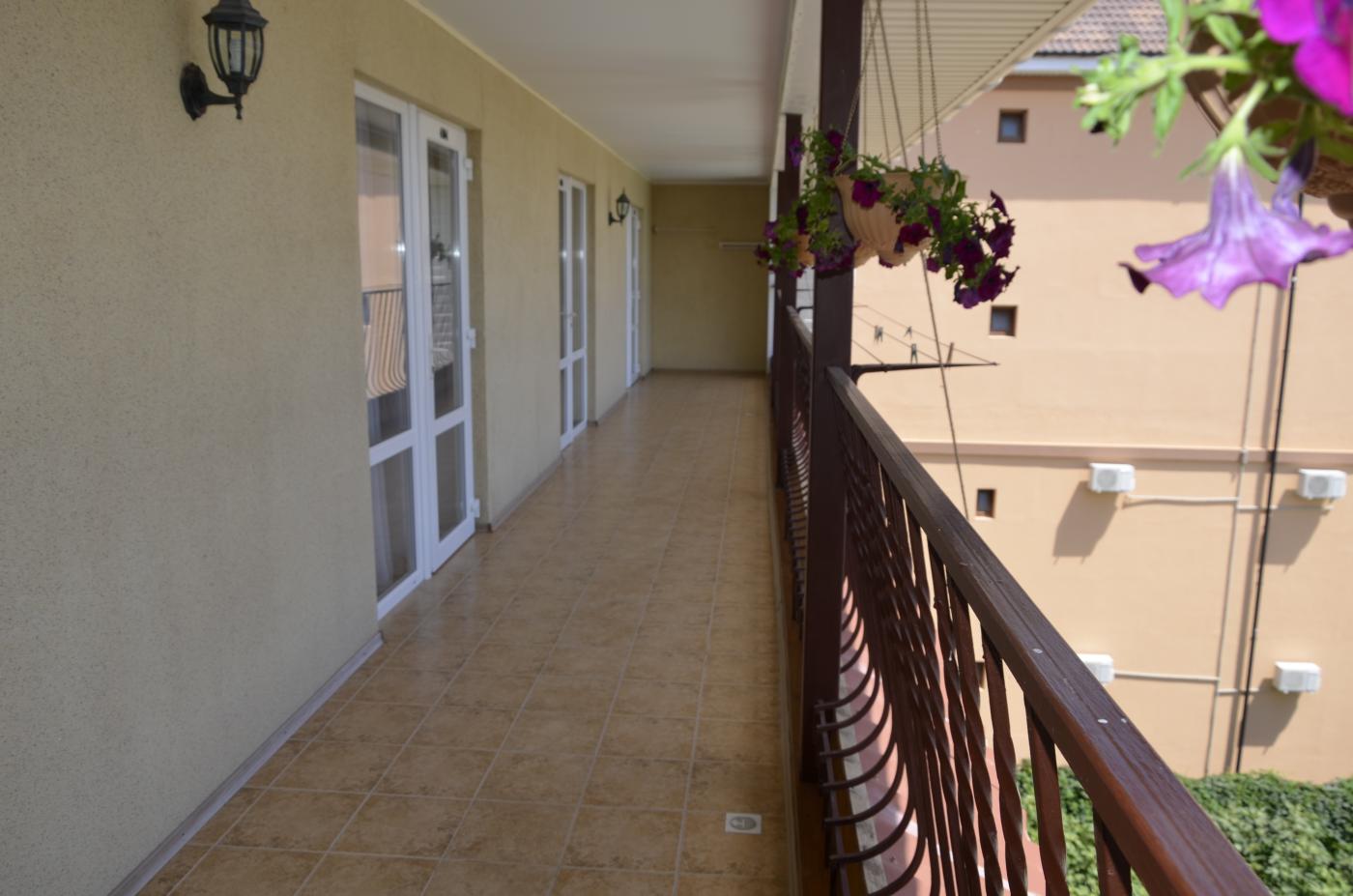 Фото Альяна