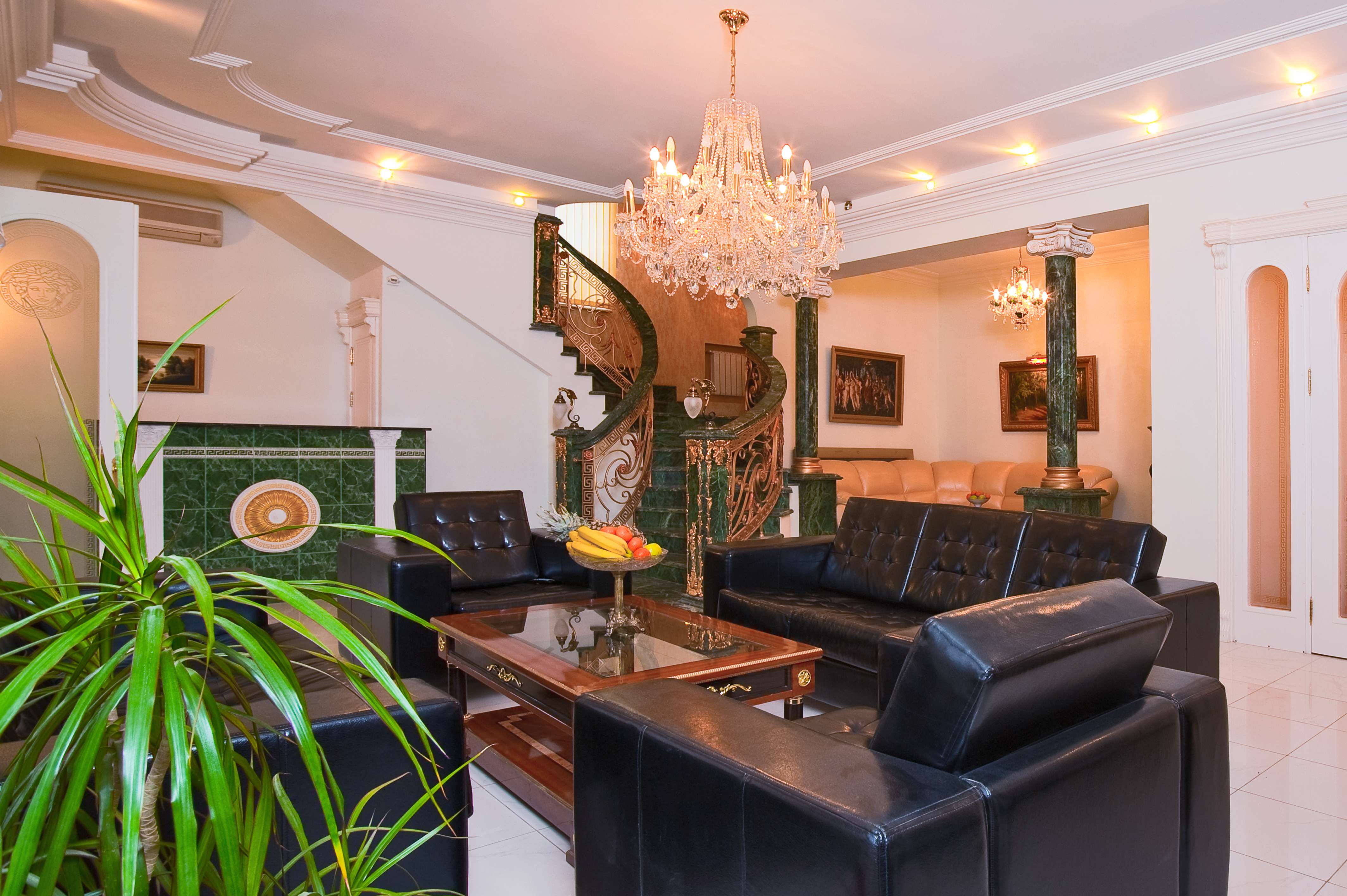 Фото Тип Топ