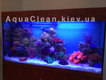 AquaClean (Pravdy Avenue, 31А), acuarios