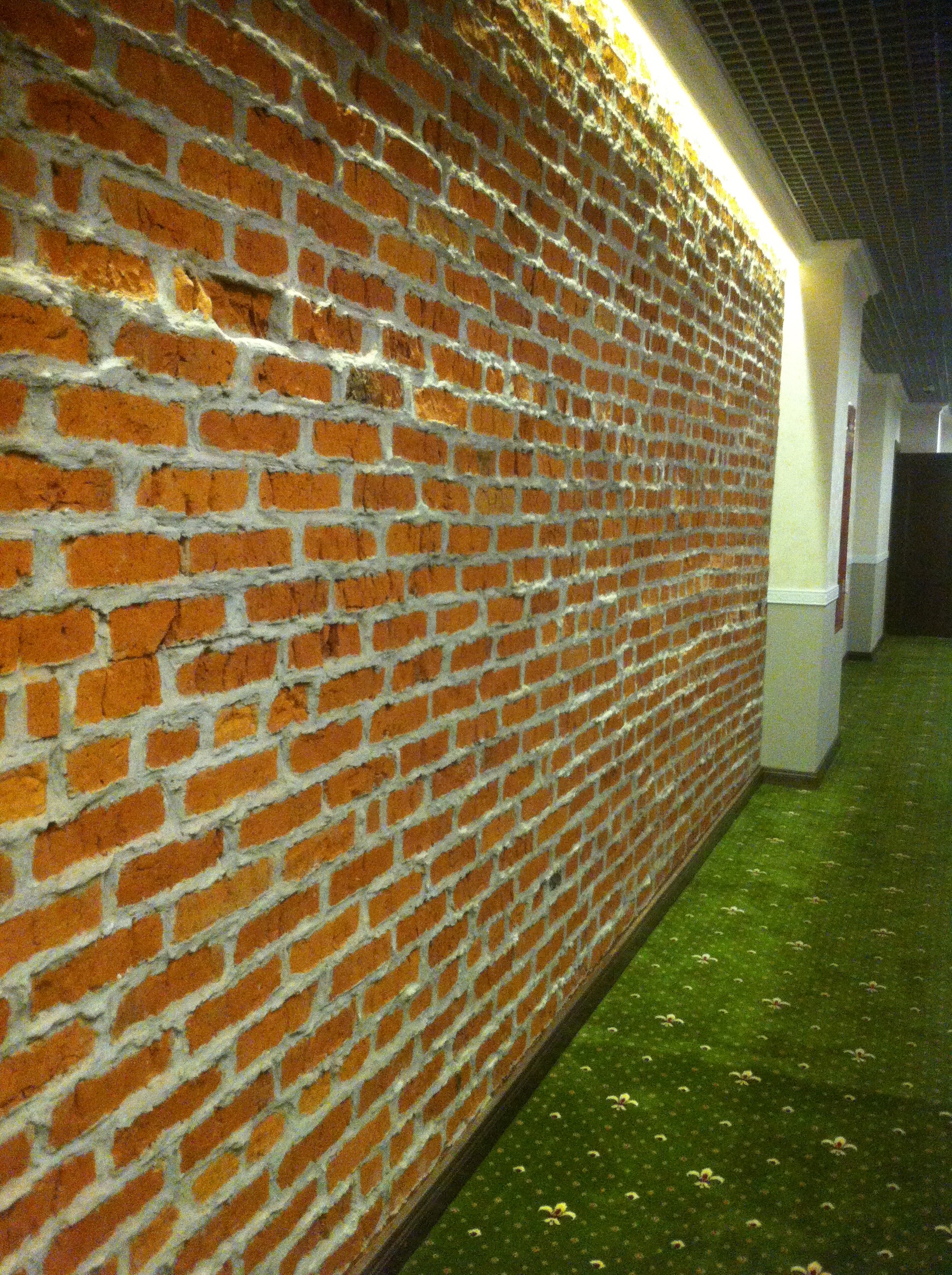 Фото Компас