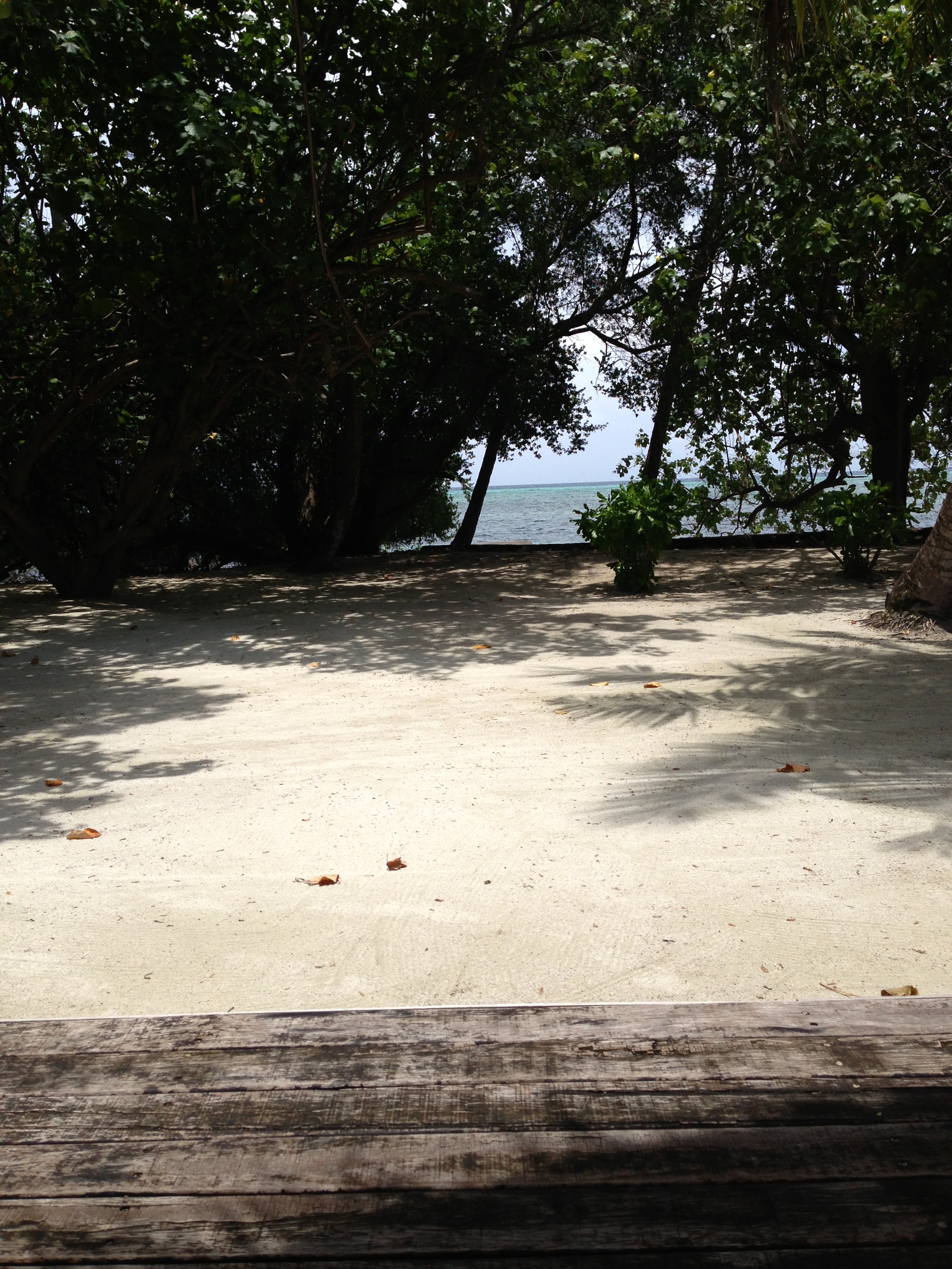 Фото Гостинный дом Ласковый Берег