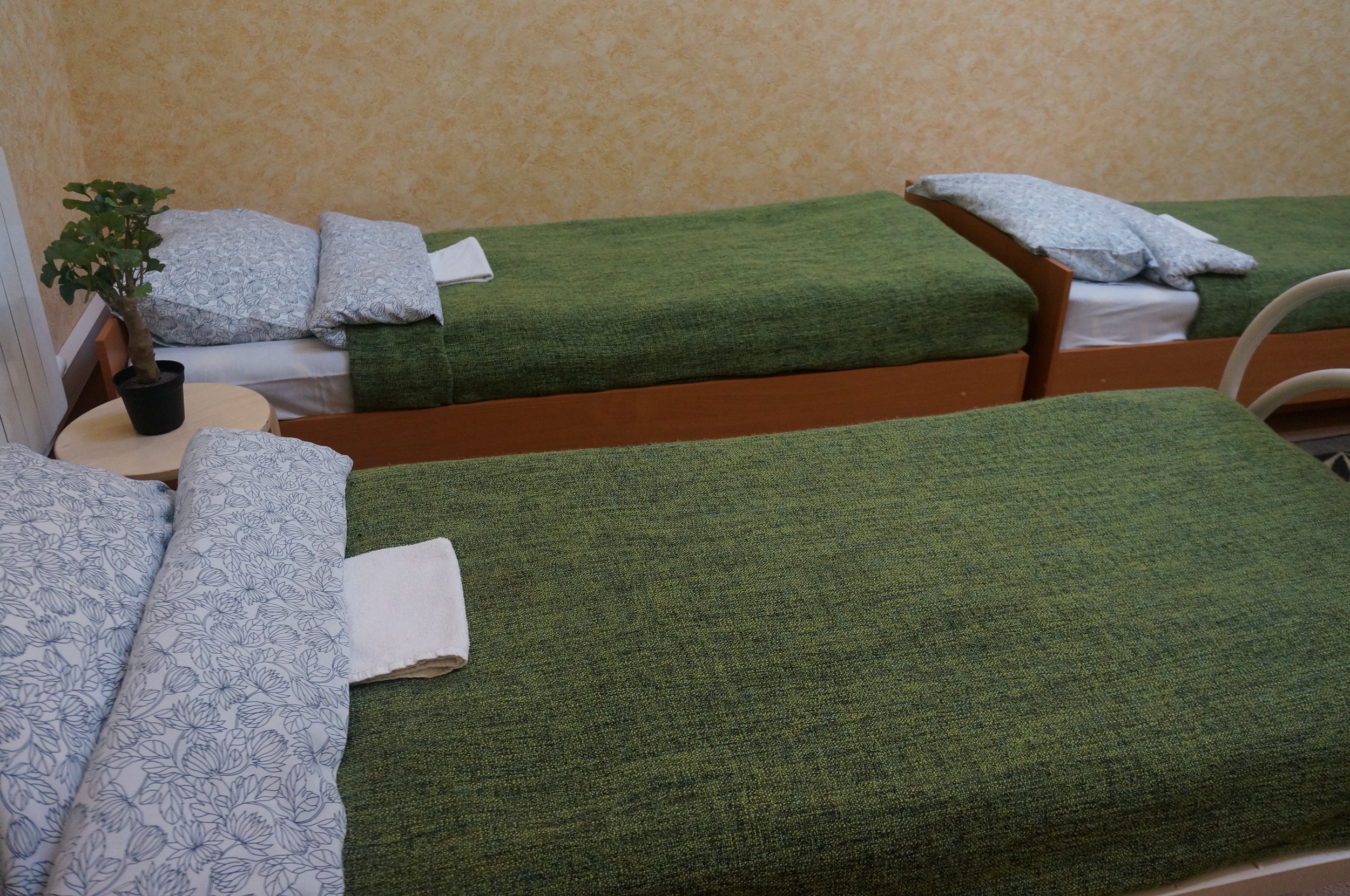 Фото Литвич