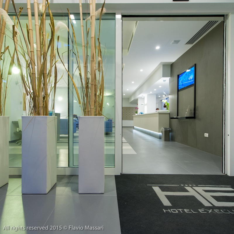 Фото Hotel Executive Inn