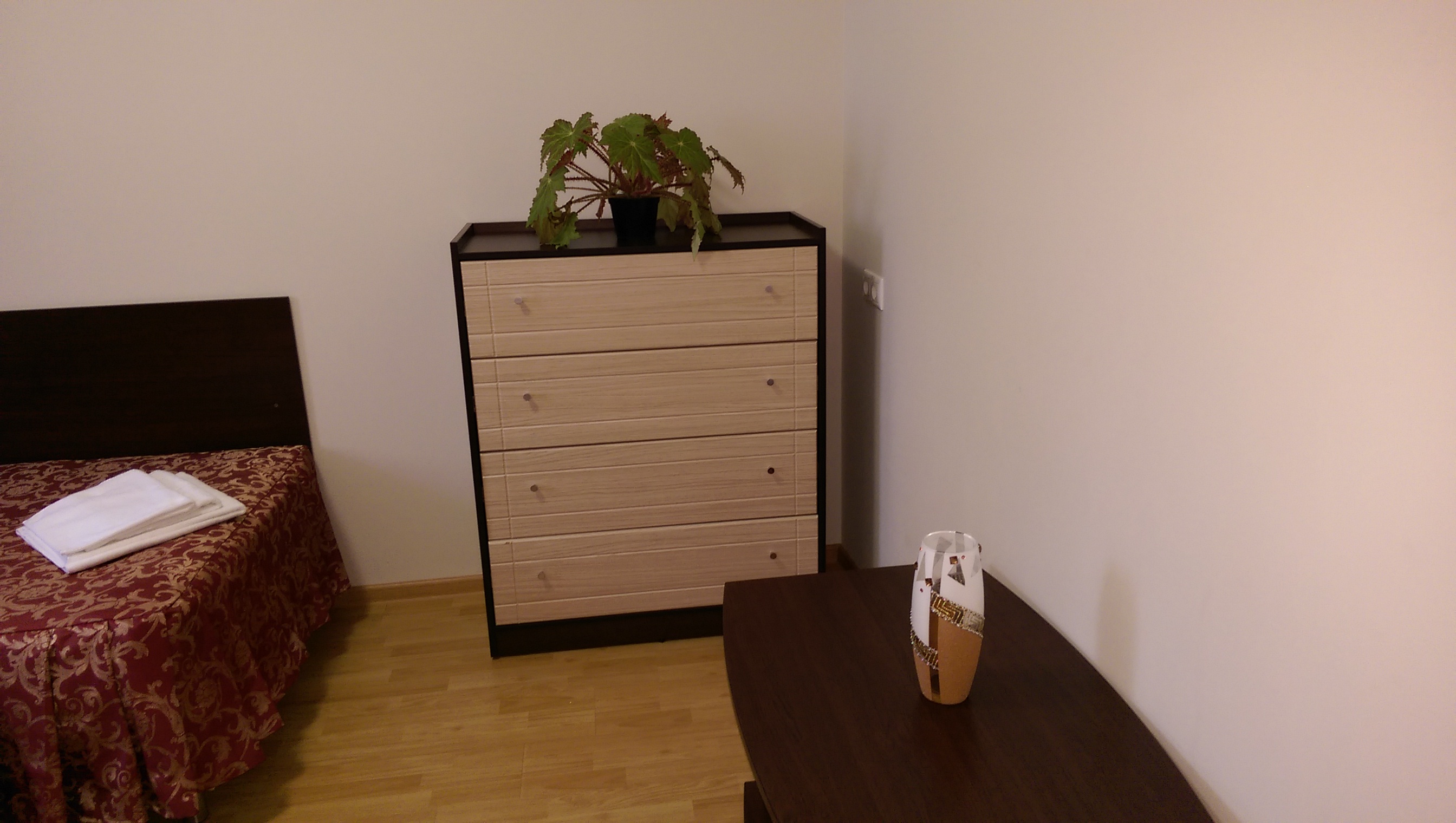 Фото Динамо