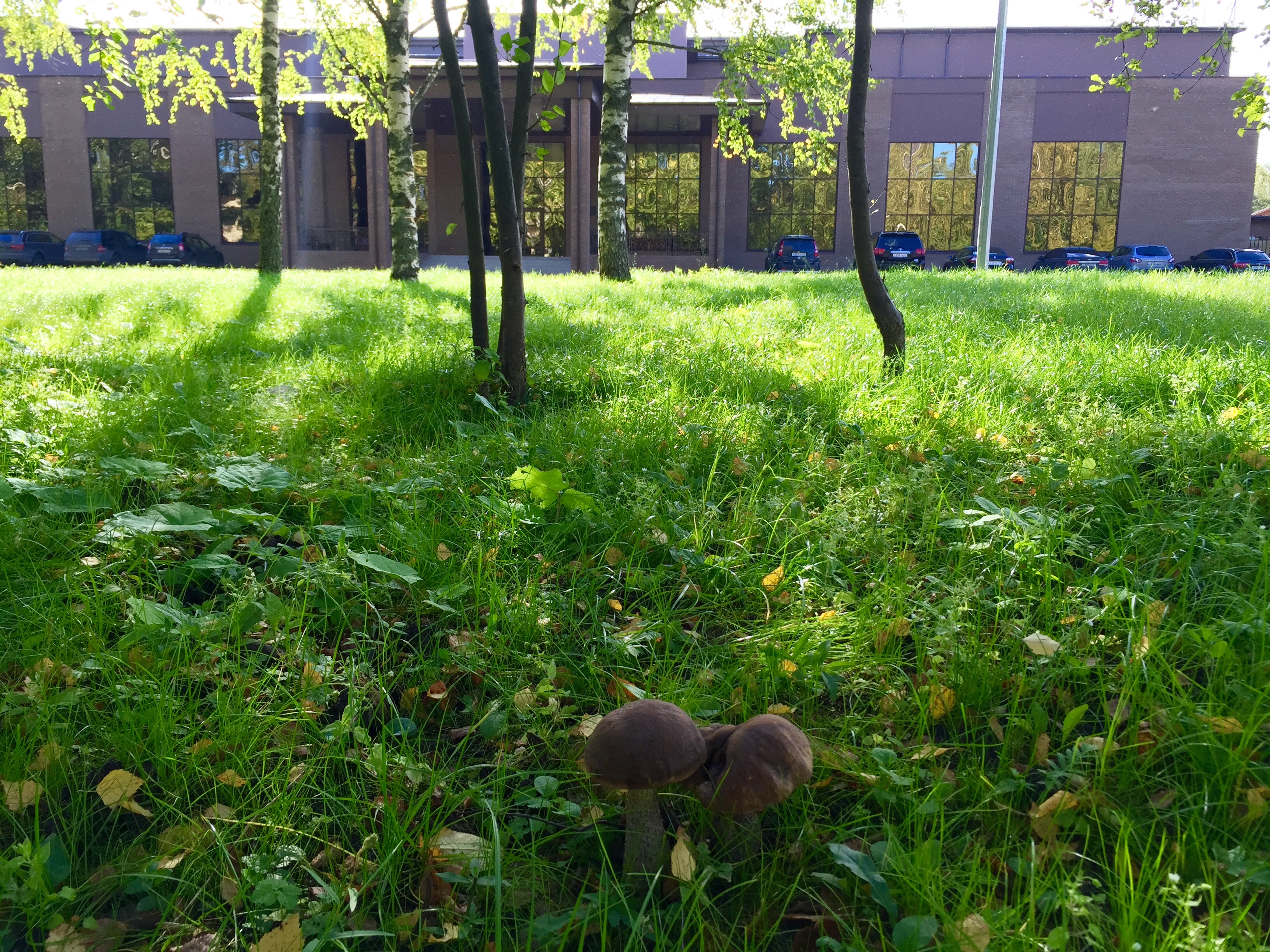 Фото Гранд отель Аристократъ